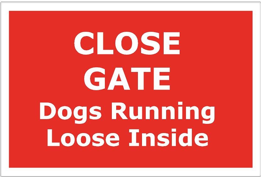 Close Gate dogs running loose