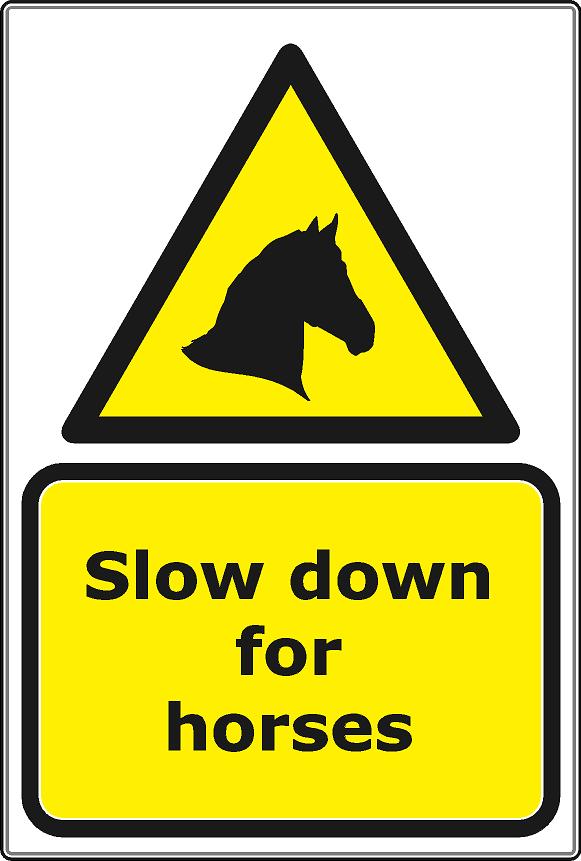 Slow Down for Horses