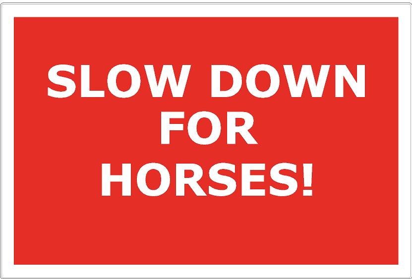 Slow Down For Horses
