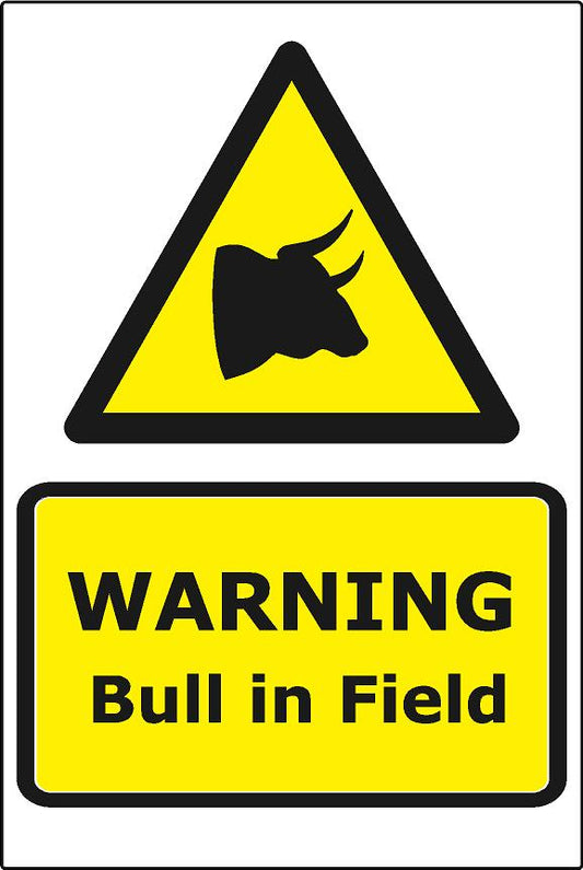 Warning Bull in Field